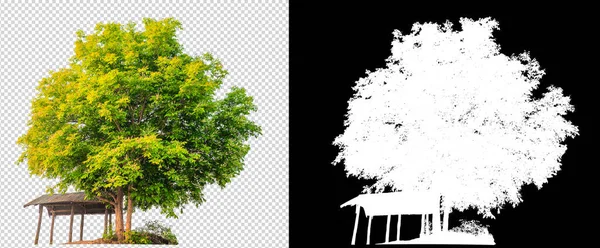 small cottage with tree on transparent background picture with clipping path and alpha channel