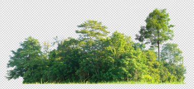 Forest scape cut out background clipart