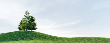 Yeşil çimenli bir tepenin üzerindeki kozalaklı kozalaklı çam ağaçlarından oluşan yüksek kaliteli bir grup, doğal güneş ışığına sahip gerçekçi bir 3D görüntüye sahip. 3d illüstrasyon oluşturma
