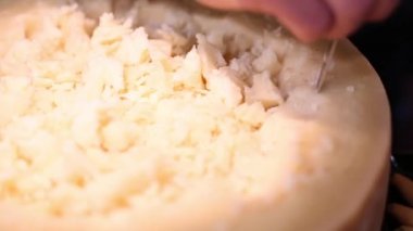 Parmesan peynir topakları