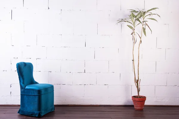 Tuoli ja kasvi valkoinen tiili seinään — kuvapankkivalokuva