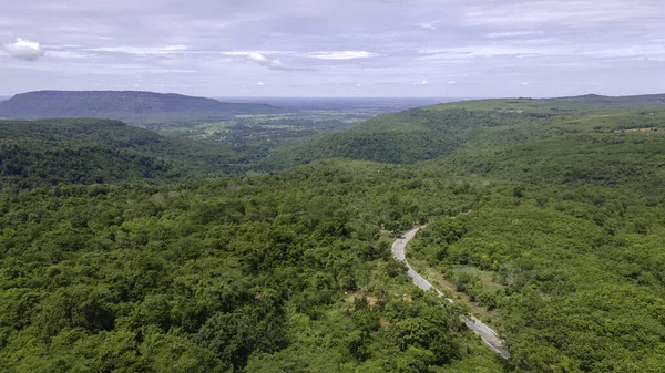 Dron 'un yeşil ormanlı dağdaki yol boyunca giden hava görüntüsü. Kavis yolunun insansız hava aracından görüntüle. 