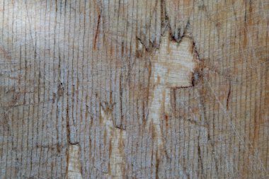 Ahşap kırsal doku arka planı. Çatallı, klasik tahta kereste. Makro çekimini kapat