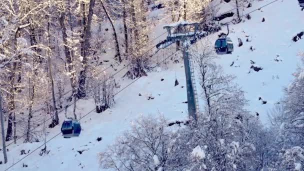 리조트에 오두막집들은 눈덮인 산비탈을 오르락내리락 주위에 침엽수들이 눈덮인 산에서 스키를 — 비디오