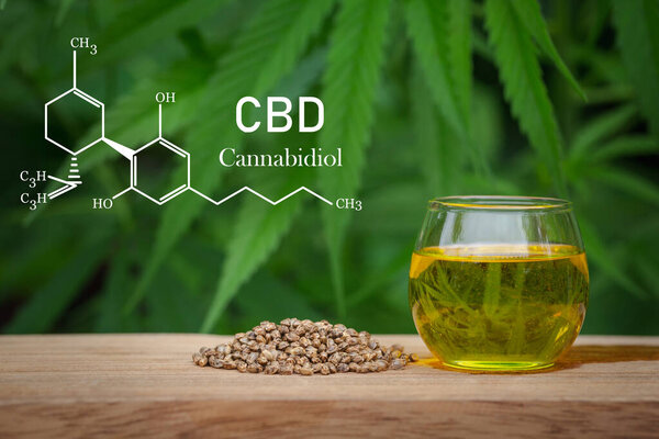 CBD elements in Cannabis,  hemp oil in a glass jar,  Concept of herbal alternative medicine.