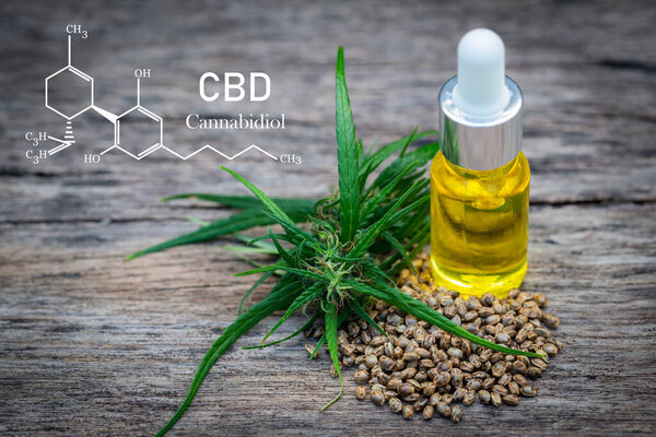 Cannabis of the formula CBD cannabidiol. hemp oil, CBD oil cannabis extract, Medical cannabis concept,