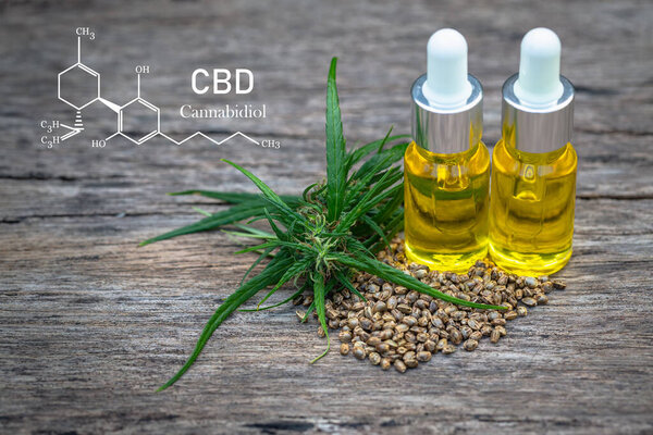 CBD elements in Cannabis,  hemp oil extracts in jars, medical marijuana, legal light drugs prescribe, alternative remedy or medication, medicine concept