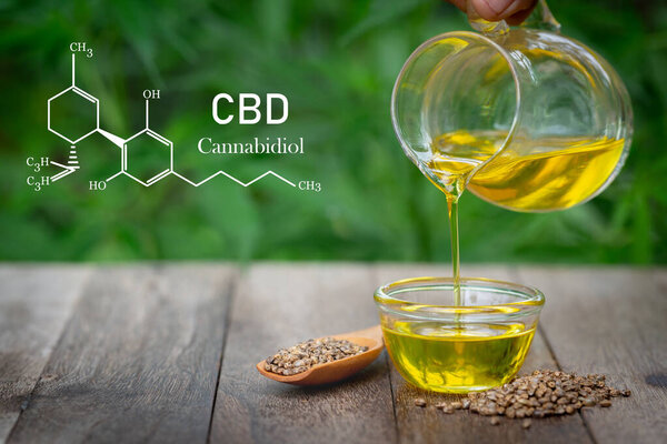 Залить масло конопли в стеклянную банку и конопли семян в деревянную ложку на зеленом фоне конопли, CBD масло конопли.