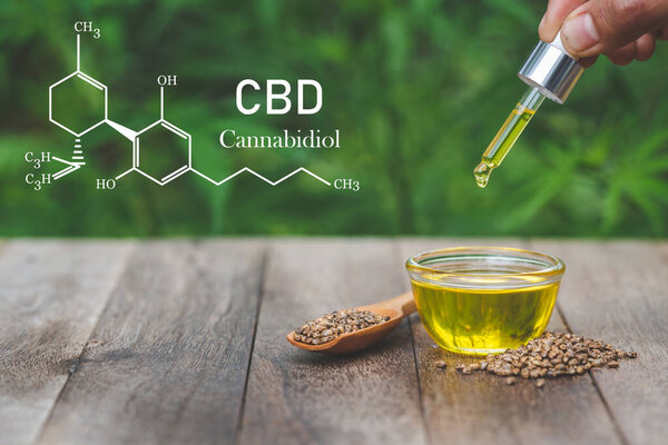 CBD elements, Hand holding Pipette with cannabis oil against Cannabis plant. CBD oil hemp products, Medicinal marijuana with extract oil in a bottle. Medical marijuana concept