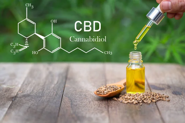 Cannabinoides Elementos Cbd Marihuana Investigando Extractos Aceite Cáñamo Con Fines — Foto de Stock