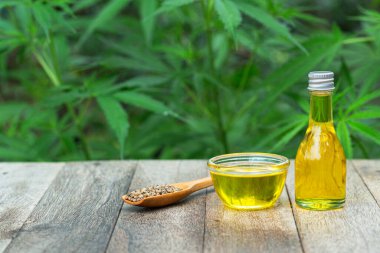 CBD kenevir yağı ürünleri, esrar bitkisine karşı kenevir yağı. Bitkisel Tedavi, Alternatif Tıp