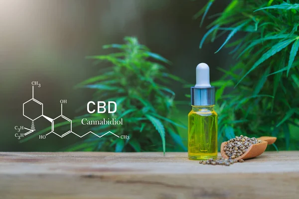 Cbd Elementen Cannabis Hennepolie Gezonde Hennepolie — Stockfoto