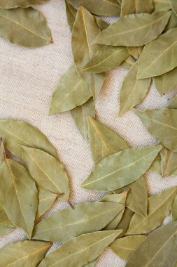 Raw Bay Yaprakları kumaş üzerinde, yukarıdan görünüyor. Düz yatıyordu, üstten, yukarıdan.. 