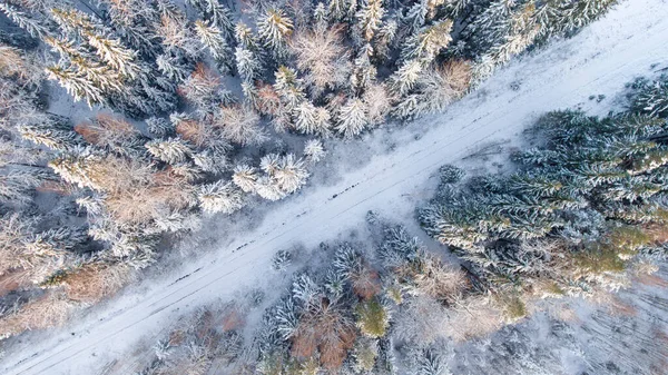 冬の森の中の道路のトップドローンビュー。雪に覆われた裸の木。景観. — ストック写真