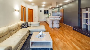 Lüks stüdyo dairenin modern iç mekanı. Sıcak kanepe. Mutfak..