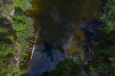 Orman Gölü 'nün drone görüntüsü. Bulutlu gökyüzü. Sudaki kuru ağaçlar.