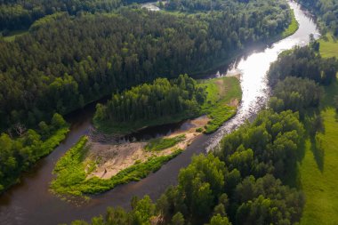 Yaz ormanı ve nehrin en iyi insansız hava aracı manzarası. 