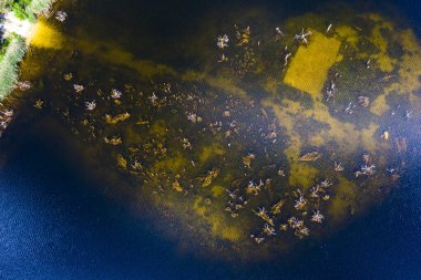 Orman Gölü 'ndeki küçük çimen adasının yukarısından drone görüntüsü.