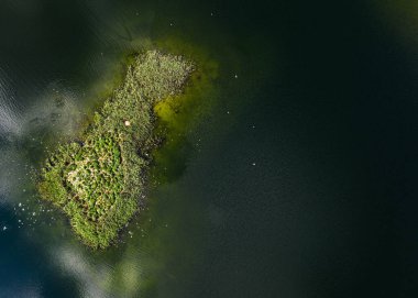 Göldeki küçük çim adasının manzaralı insansız hava aracı manzarası. Güzel Letonya doğası.