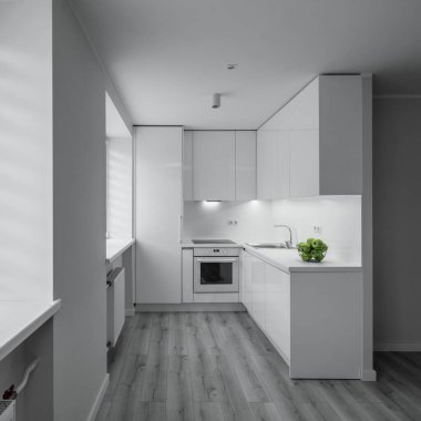 Tadilattan sonra lüks bir stüdyo daire. Parlak iç mekan. Parke zemin. Beyaz mutfak seti. Yeşil elmalar.