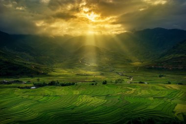 Yağmur mevsiminde Mu Cang Chai, Yen Bai, Vietnam 'da pirinç tarlaları terasta.