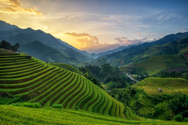 Campos de arroz en la terraza en temporada de lluvias en Mu Cang Chai, Yen Bai, Vietnam —  Fotos de Stock