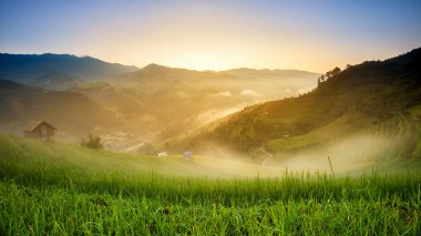 Yağmur mevsiminde Mu Cang Chai, Yen Bai, Vietnam 'da pirinç tarlaları terasta.