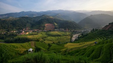 Yağmur mevsiminde Mu Cang Chai, Yen Bai, Vietnam 'da pirinç tarlaları terasta.