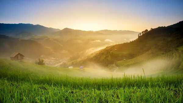 Campos de arroz no terraço na estação chuvosa em Mu Cang Chai, Yen Bai, Vietnã — Fotografia de Stock