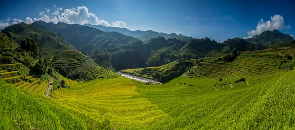 Ladang padi di teras musim hujan di Mu Cang Chai, Yen Bai, Vietnam — Stok Foto