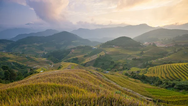 Ladang padi di teras musim hujan di Mu Cang Chai, Yen Bai, Vietnam — Stok Foto