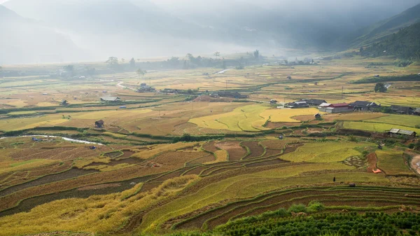 Rice fields on terrace in rainy season at Mu Cang Chai, Yen Bai, Vietnam — Φωτογραφία Αρχείου