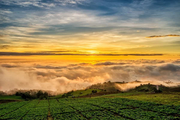 Nascer do sol sobre a montanha em Phu Tab Berk, Tailândia — Fotografia de Stock