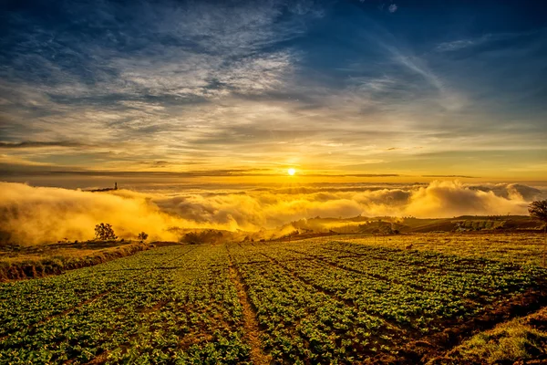 Nascer do sol sobre a montanha em Phu Tab Berk, Tailândia — Fotografia de Stock