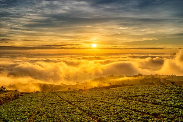 Nascer do sol sobre a montanha em Phu Tab Berk, Tailândia — Fotografia de Stock