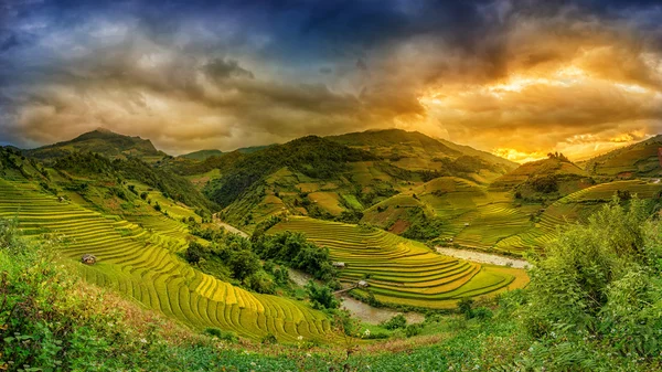 Campos de arroz en terrazas al atardecer en Mu chang chai, Yen bai, Vie — Foto de Stock