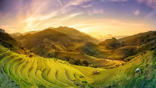 Campos de arroz en terrazas al atardecer en Mu chang chai, Yen bai, Vie —  Fotos de Stock