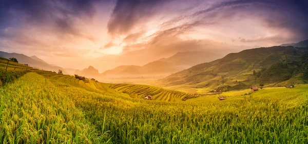 Campos de arroz en terrazas al atardecer en Mu chang chai, Yen bai, Vie — Foto de Stock