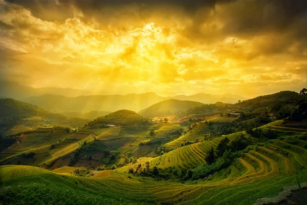 Rice fields on terraced in sunset at Mu chang chai, Yen bai, Vie — Stock Photo, Image