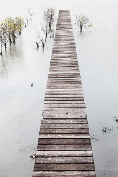 湖中的Jetty — 图库照片