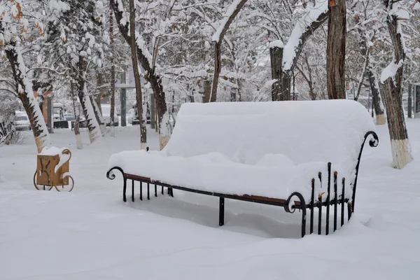 kar kaplı tezgah Parkı
