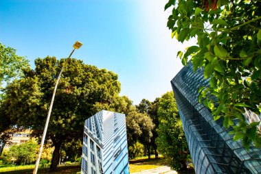 BIOdiverCITY, Yeşil ve Peyzaj Festivali işbirliğiyle Musica 'nın Roman Vakfı başına yaptırdığı bir kamu sanatı müdahalesi. Sanatçı Ciriaco Campus tarafından tasarlanan 1000 m2 kurulum, P 'deki sanat, doğa ve mimariyi birleştirir.