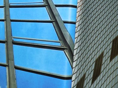 BIOdiverCITY, Yeşil ve Peyzaj Festivali işbirliğiyle Musica 'nın Roman Vakfı başına yaptırdığı bir kamu sanatı müdahalesi. Sanatçı Ciriaco Campus tarafından tasarlanan 1000 m2 kurulum, P 'deki sanat, doğa ve mimariyi birleştirir.