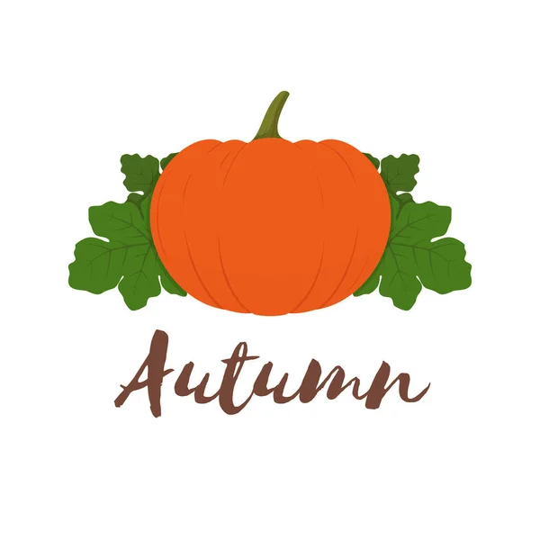 Autumn Composition Orange Pumpkin Leaves White Background Thanksgiving Halloween Decoration — Stock Vector