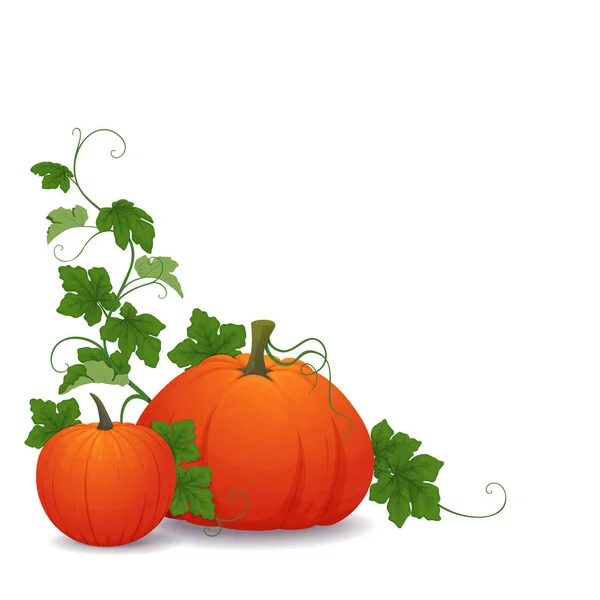 Komposition Med Pumpor Och Blad Vit Bakgrund Thanksgiving Eller Halloween — Stock vektor