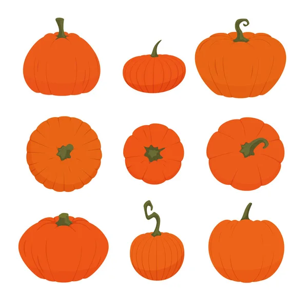 Set Ripe Orange Pumpkins Various Shapes Isolated White Background Vector — Stock Vector