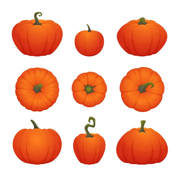 Set Zucche Mature Arancioni Varie Forme Isolate Fondo Bianco Illustrazione — Vettoriale Stock