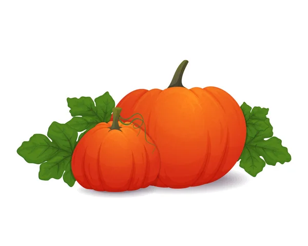 Composizione Con Zucche Foglie Fondo Bianco Decorazione Ringraziamento Halloween Illustrazione — Vettoriale Stock