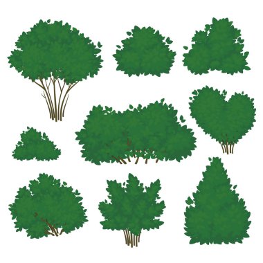 Set of shrubs with lush green foliage in various shapes isolated on a white background. Vector illustration. Summer icon. clipart