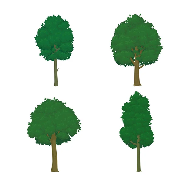 Ensemble Arbres Aux Feuilles Vertes Luxuriantes Isolés Sur Fond Blanc — Image vectorielle